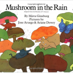 MushroomintheRain